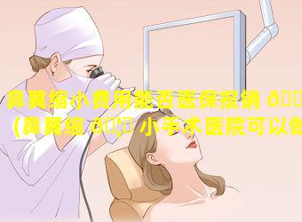 鼻翼缩小费用能否医保报销 🌾 (鼻翼缩 🦁 小手术医院可以做吗)